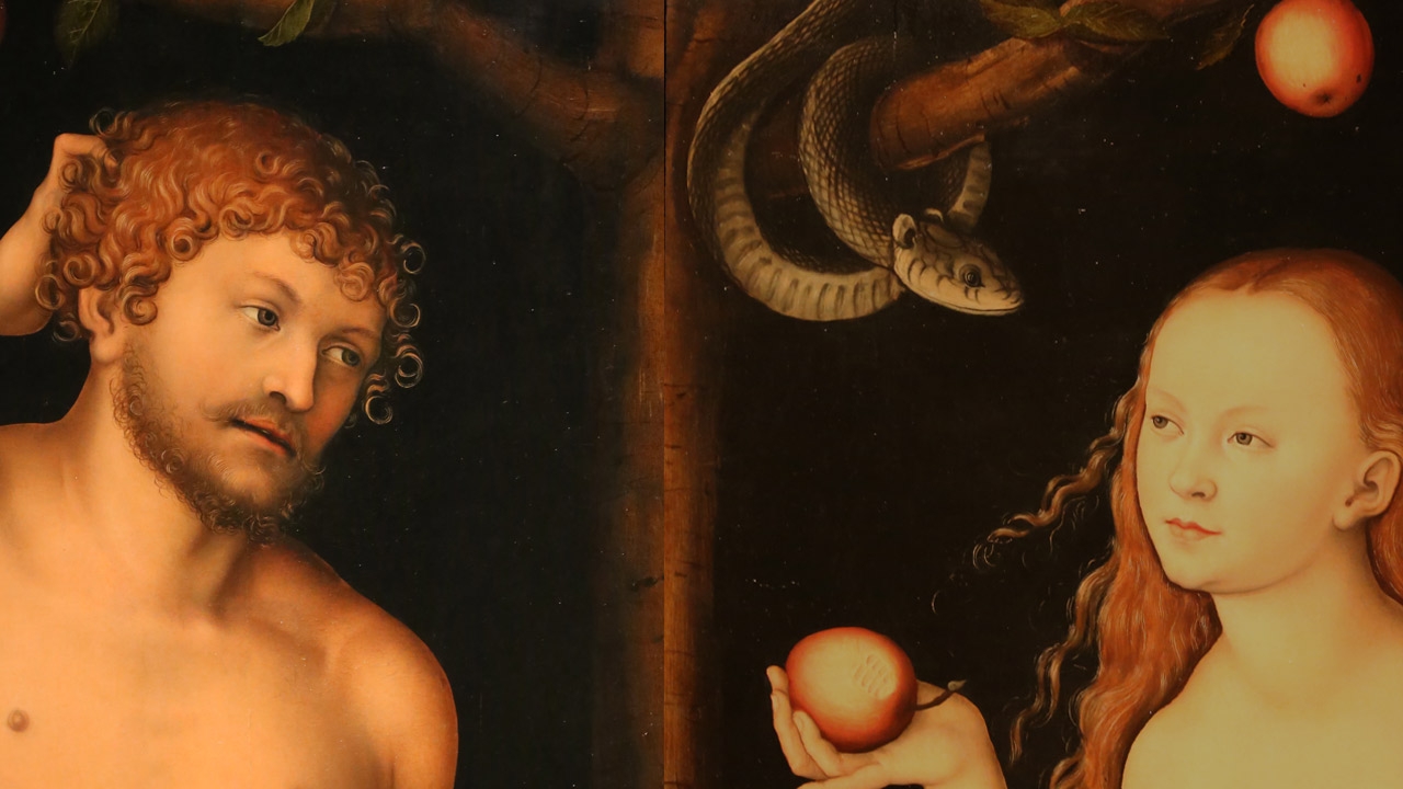 formation20fev Slide background